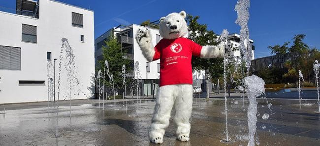 海德堡气候保护（照片：Dorn）