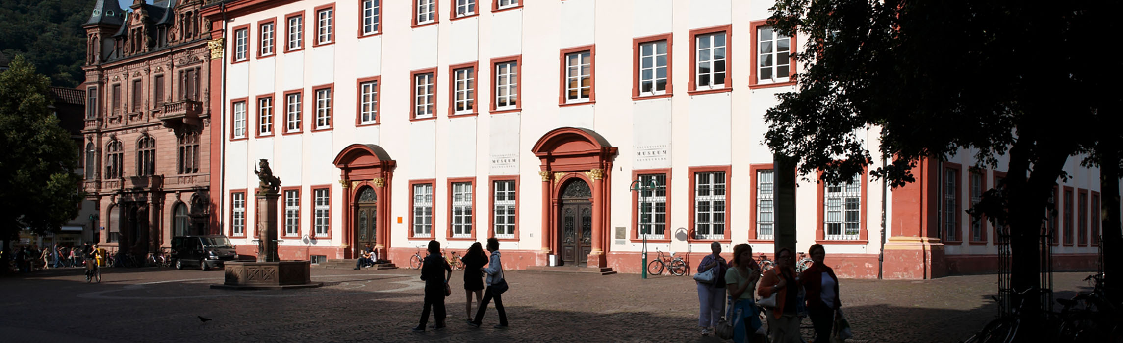 Heidelberg University (Photo: Heidelberg University) Heidelberg University (Photo: Heidelberg University)